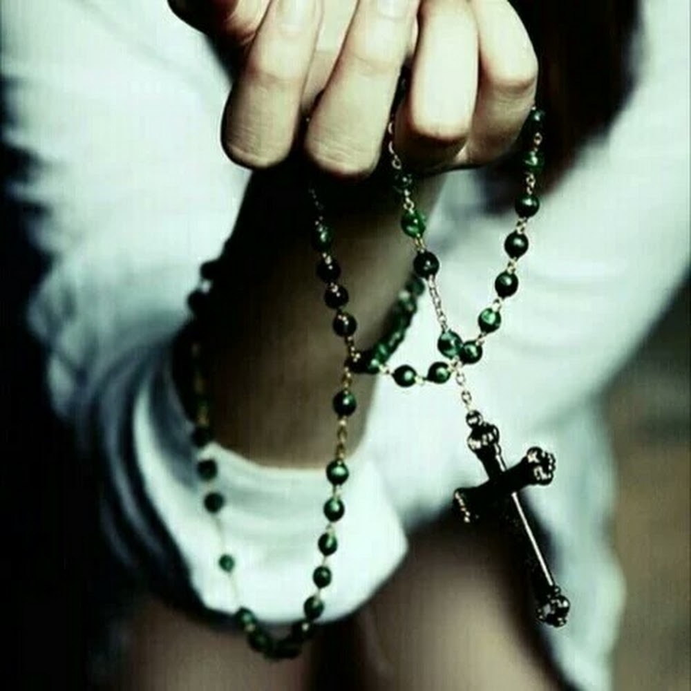 Meet your Posher, Renée